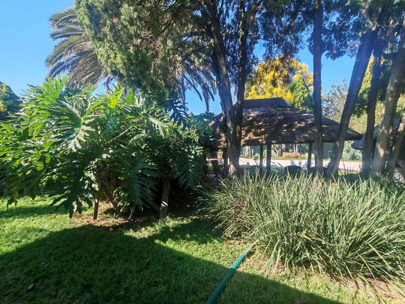 GOLDEN OLDIE - SPACIOUS WITH GRANNY FLAT ON BIG STAND - Photo 4