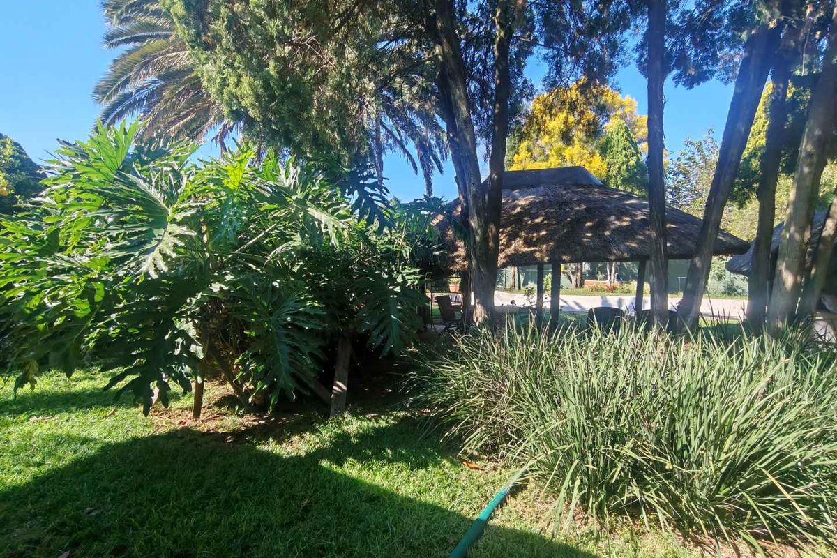 GOLDEN OLDIE - SPACIOUS WITH GRANNY FLAT ON BIG STAND - Photo 4