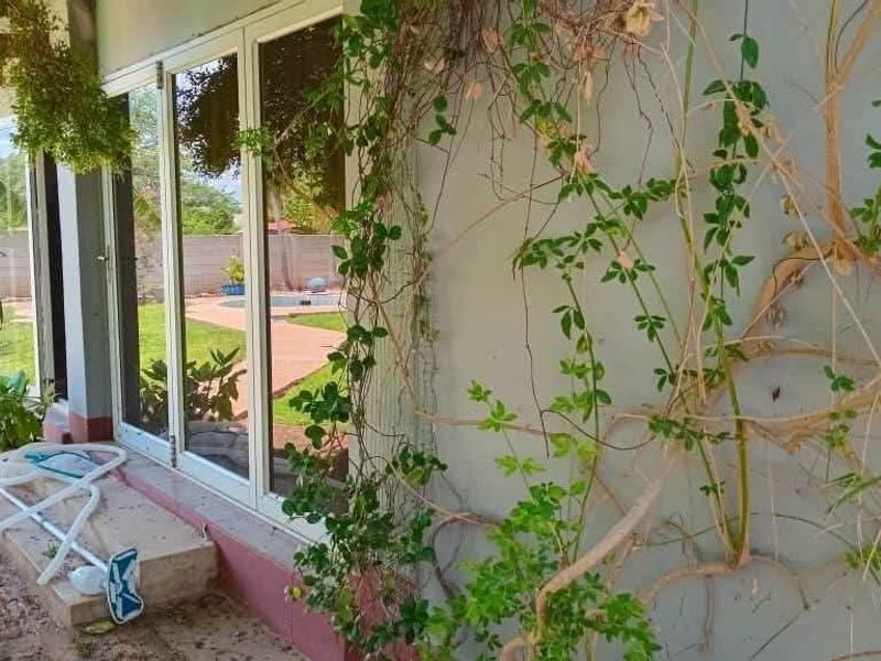 Rear exterior view of the property featuring sliding glass doors leading to a concrete patio area with overgrown climbing plants on the wall.