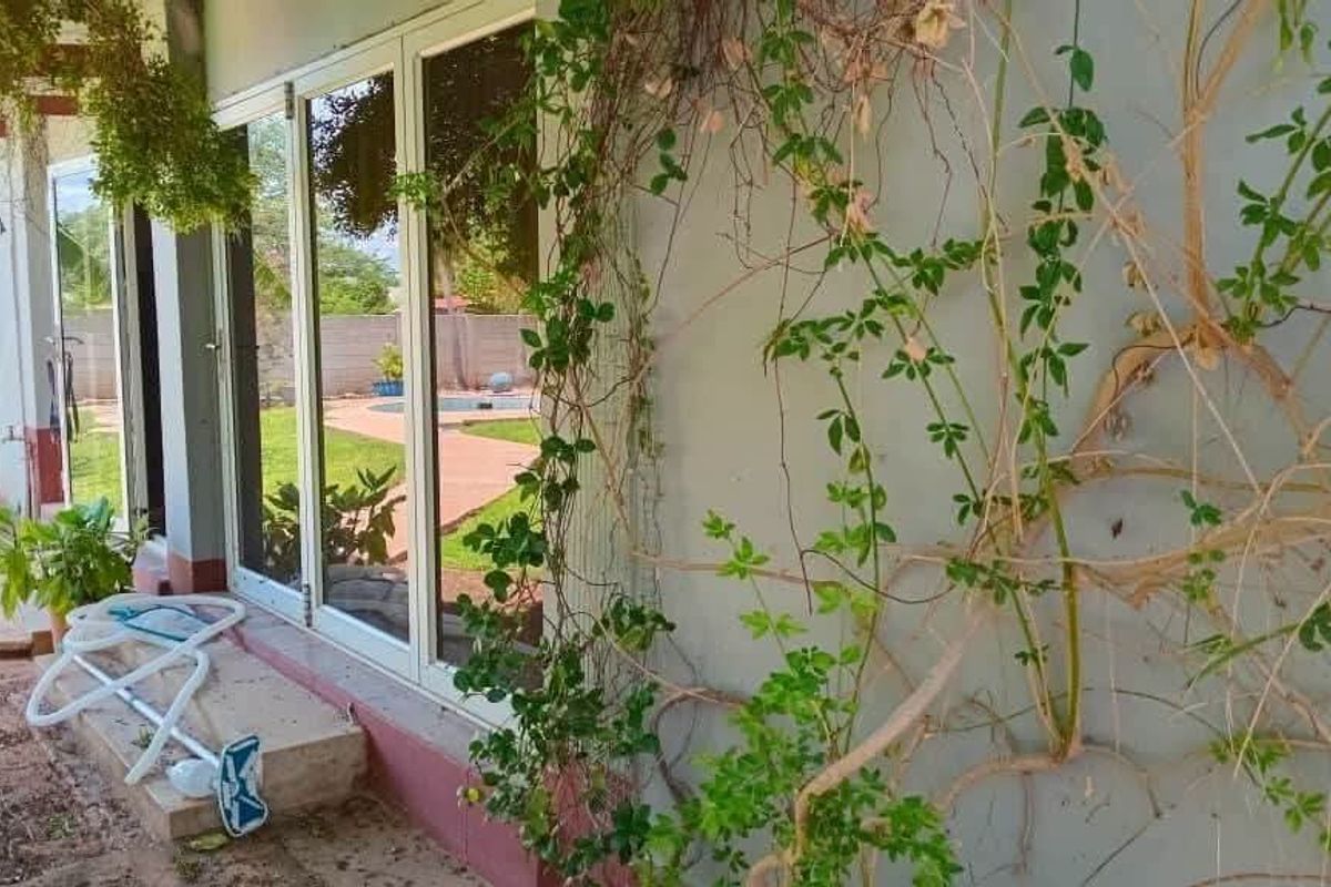 Rear exterior view of the property featuring sliding glass doors leading to a concrete patio area with overgrown climbing plants on the wall.