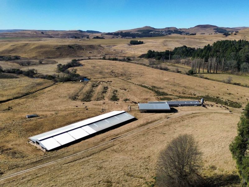Aerial view of a farm property featuring multiple large metal-roofed agricultural sheds, a silo, and extensive grazing land with dirt access tracks.