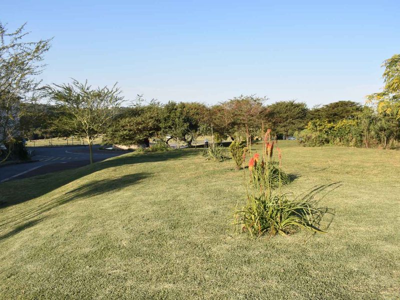 Rare Aquisition! - Photo 4