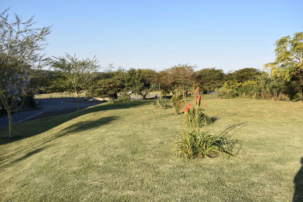 Rare Aquisition! - Photo 4