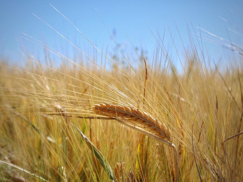 Wanted: Visionary Robust Investors/Developers!! - Photo 4