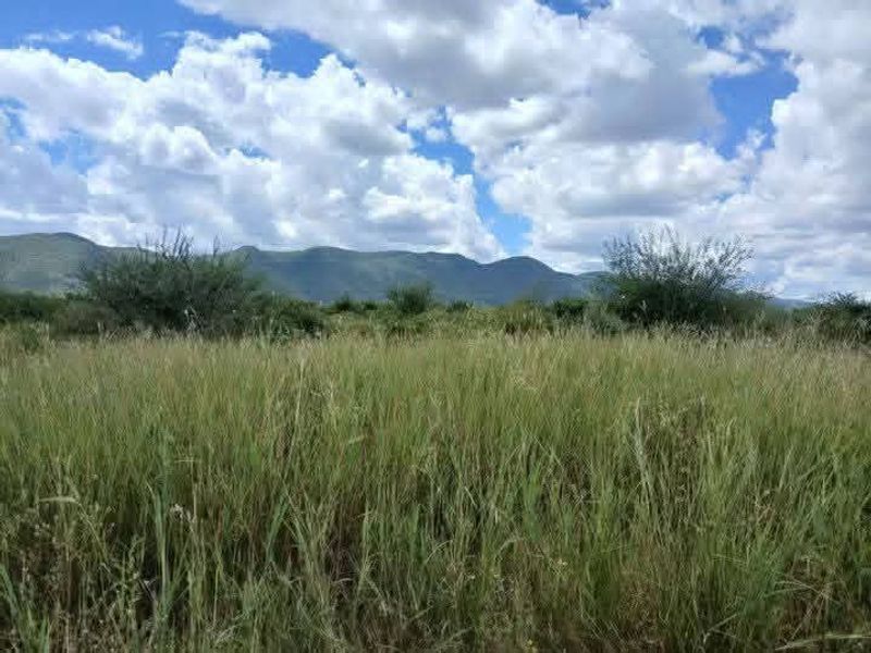 A scenic view of open agricultural land featuring natural grasses and a distant mountain range under a cloudy sky.