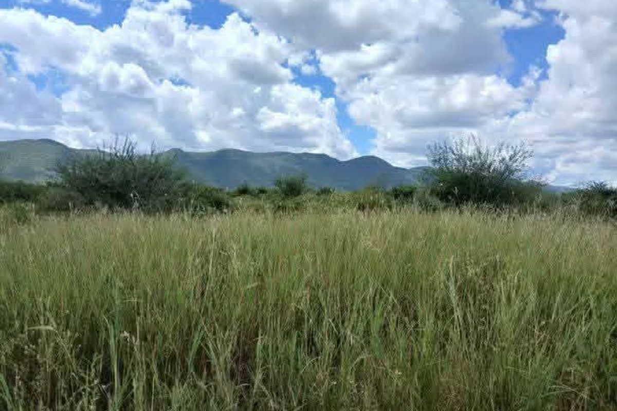 A scenic view of open agricultural land featuring natural grasses and a distant mountain range under a cloudy sky.