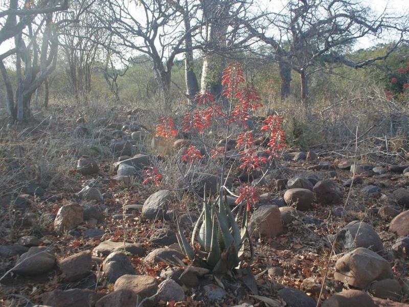 Alluring riverfront stand for sale. - Photo 9