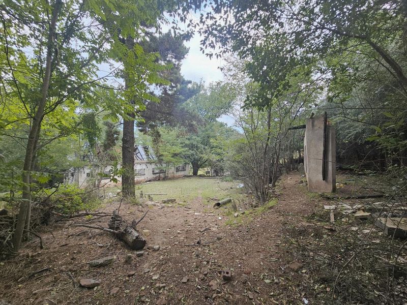 Prime Investment Opportunity: 64 Hectares of Potential on the Lesotho/RSA Border - Photo 5