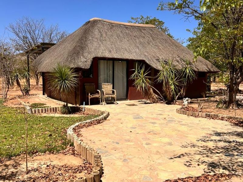 Prime Eco-Lodge Investment - Photo 9