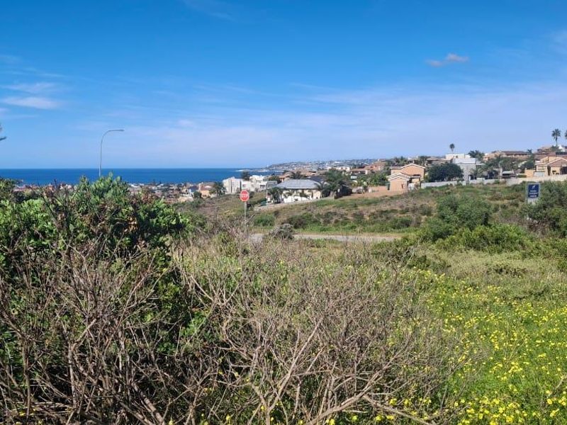 A scenic view overlooking a coastal residential area with ocean vistas, showcasing the natural landscape and surrounding neighborhood.