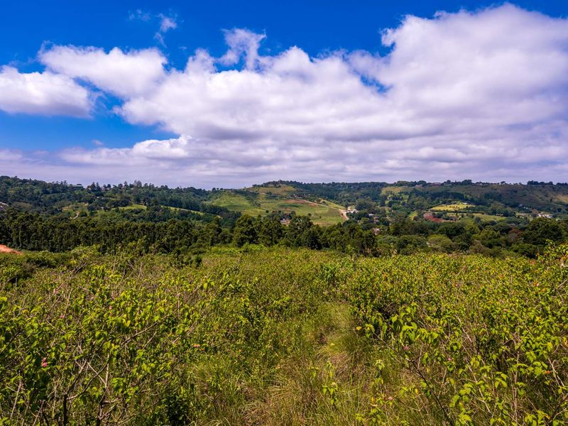 A scenic, elevated view overlooking a lush, green landscape with rolling hills and distant vegetation under a bright blue sky.