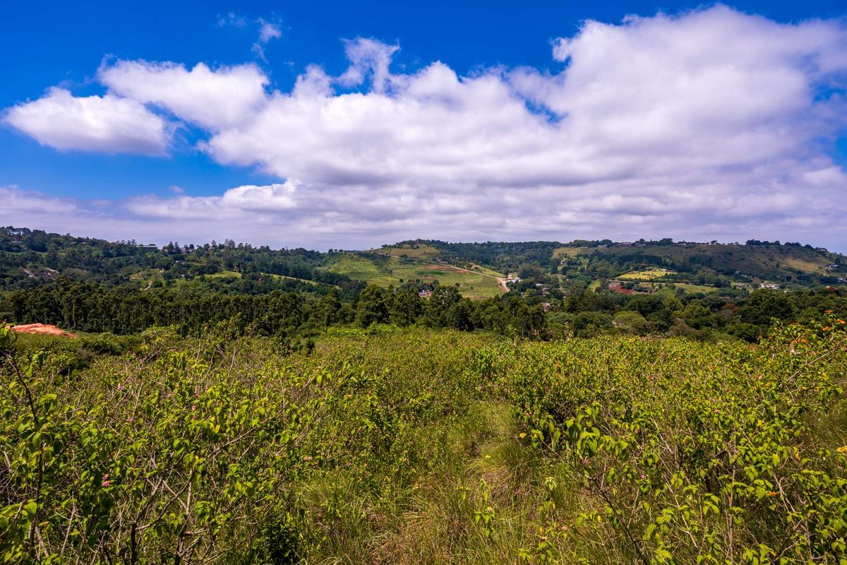 A scenic, elevated view overlooking a lush, green landscape with rolling hills and distant vegetation under a bright blue sky.