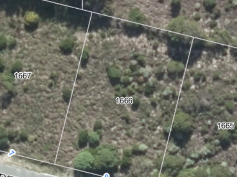 Elevated Stand with Excellent Investment Potential - Photo 5