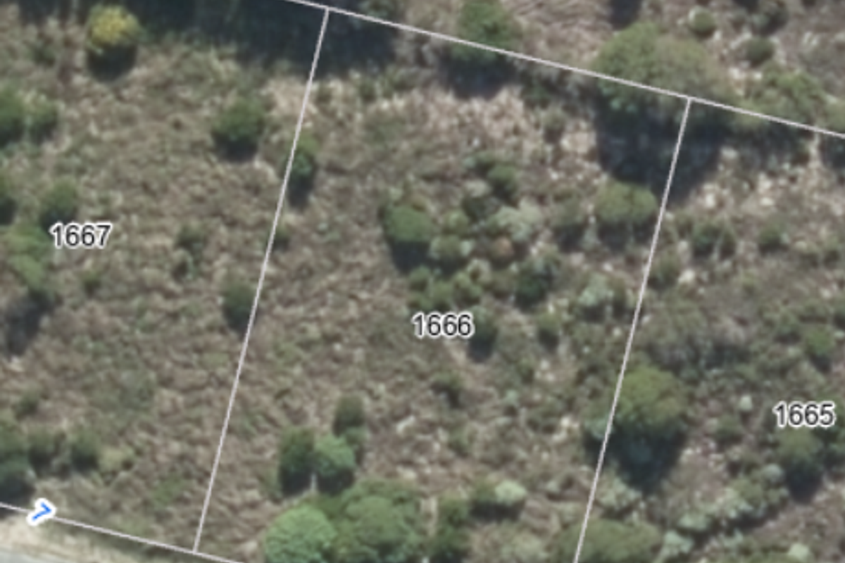 Elevated Stand with Excellent Investment Potential - Photo 5