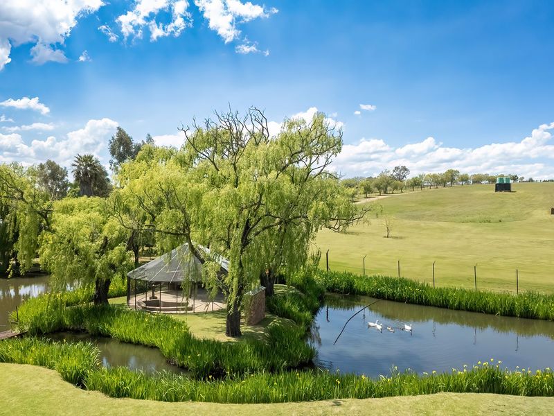 A scenic garden view featuring a tranquil pond, mature willow trees, and a gazebo set within a well-maintained landscape.