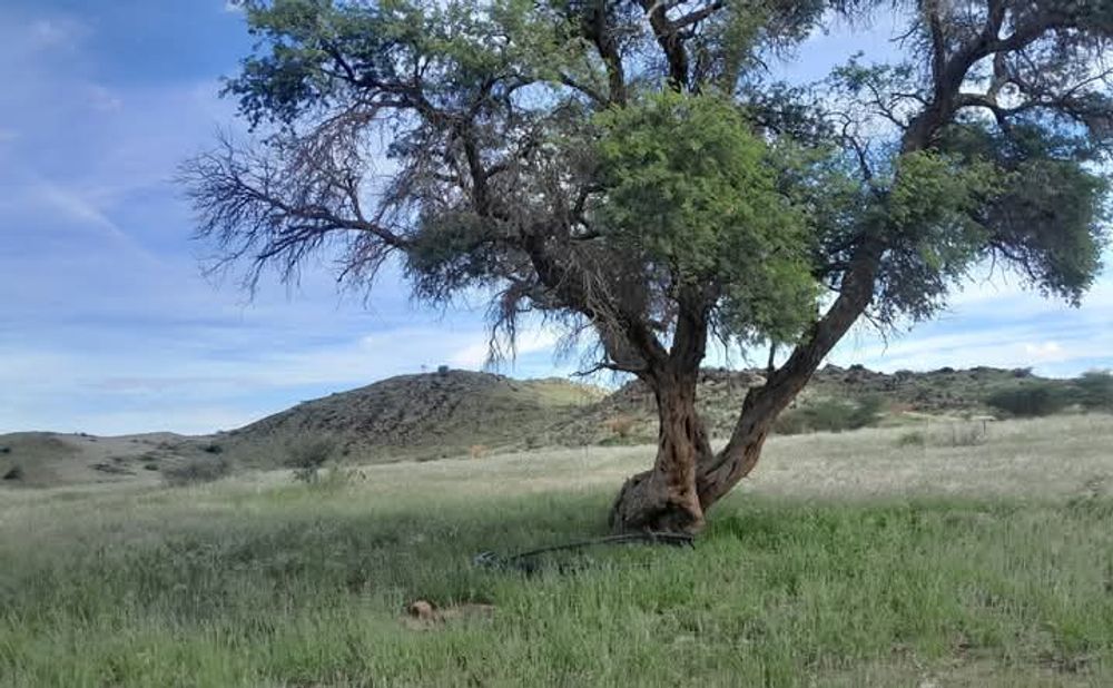 View of the field after the rain. 