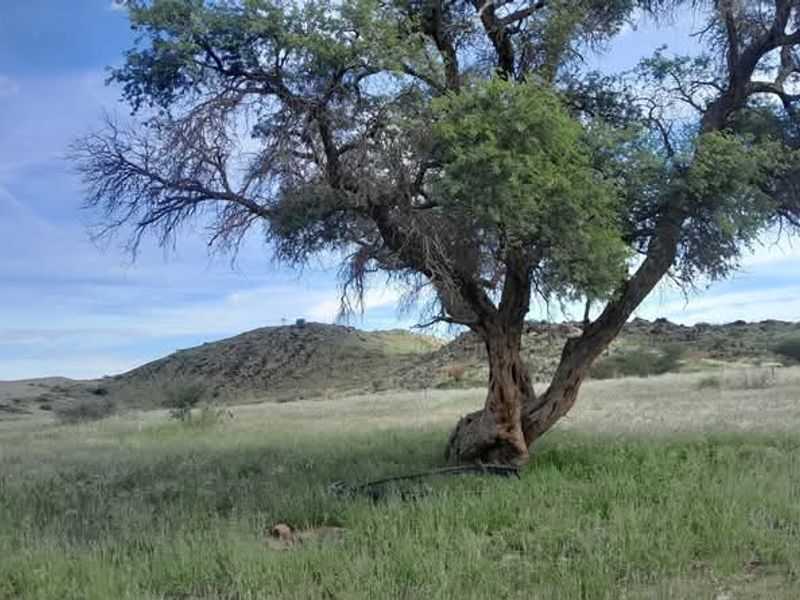 FOR SALE- FARM IN KEETMANSHOOP, NAMIBIA - Photo 9