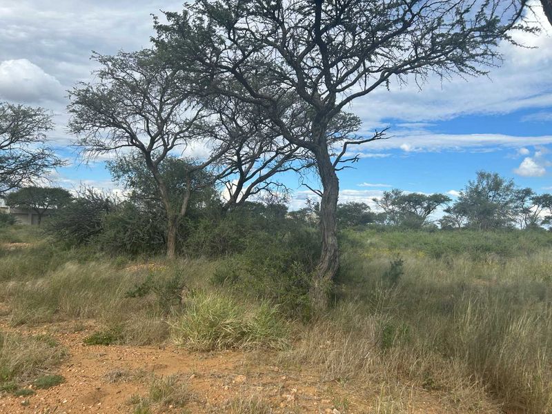 A view of the vacant residential land featuring natural vegetation and mature native trees.
