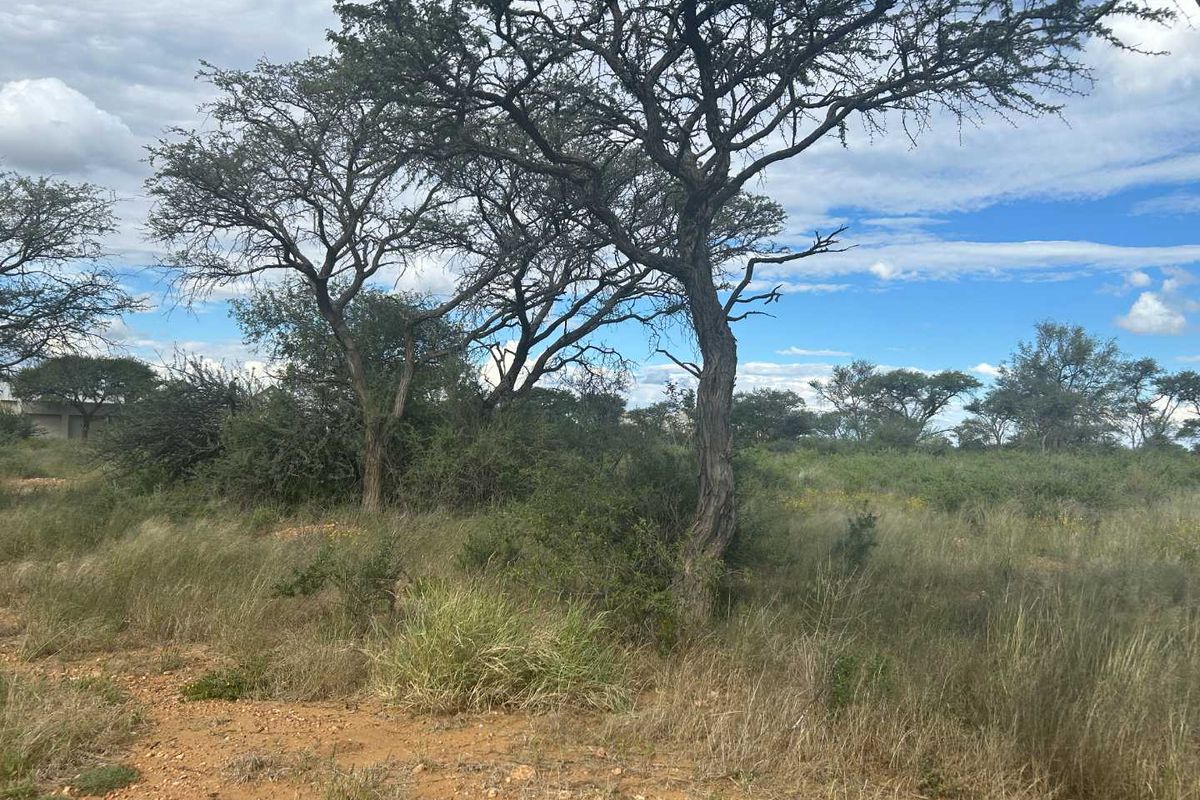 A view of the vacant residential land featuring natural vegetation and mature native trees.