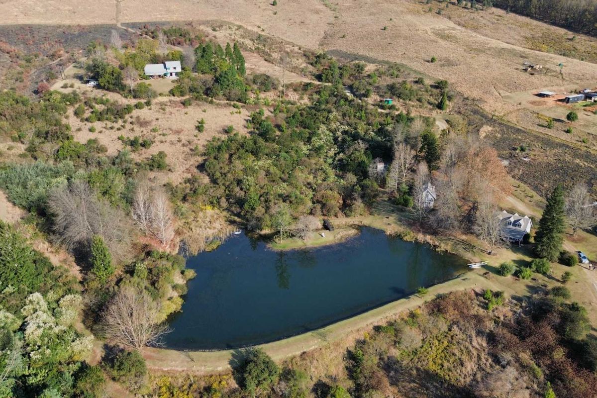 Exceptional Lifestyle Farm with Established Accommodation Business in Dargle - Photo 2