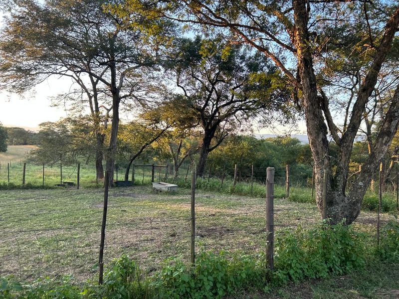 Rare 51ha Farm Jewel: A Versatile Opportunity with Prime Main Road Frontage - Photo 4