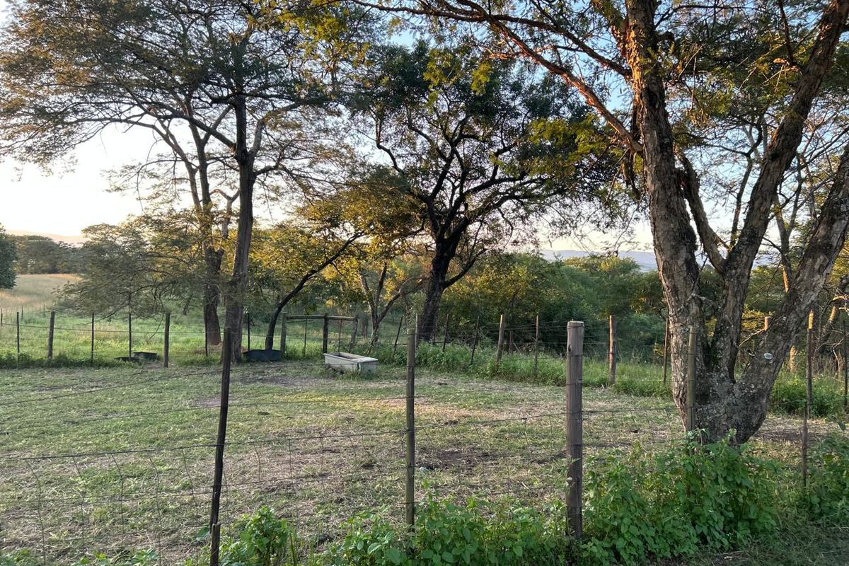 Rare 51ha Farm Jewel: A Versatile Opportunity with Prime Main Road Frontage - Photo 4