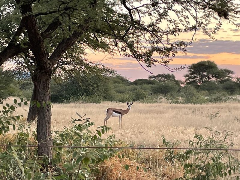 A 700 hectare farm just outside Outjo, where the bushveld opens into wide plains and clear skies, lies a well-developed farm — Ideal for irrigation & small stoc - Photo 10
