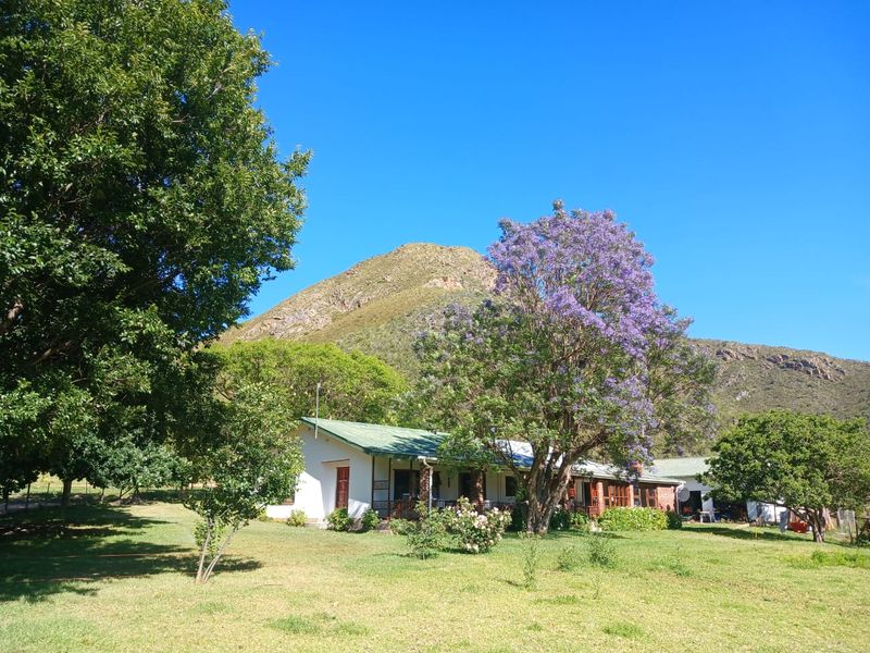 Once-in-a-Lifetime Opportunity: Own a Piece of Kouga Wilderness - Photo 3