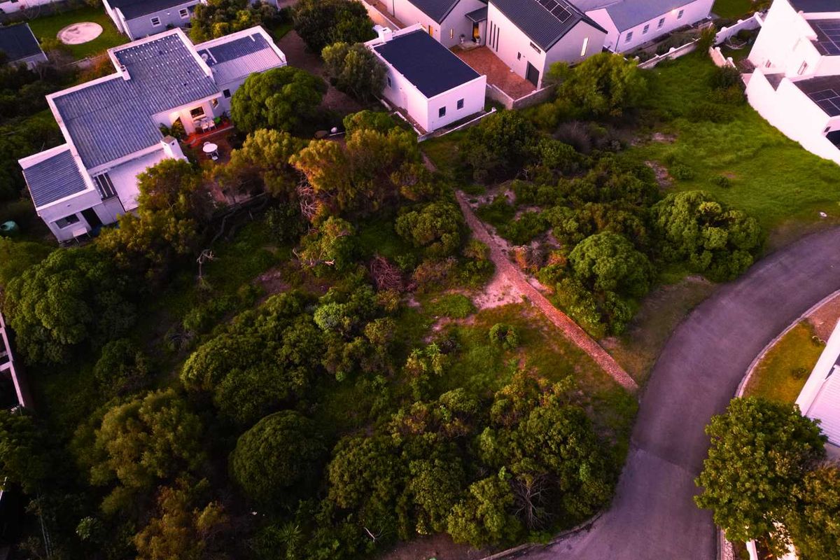 Where Fynbos, Mountain and Sea Write the Story! - Photo 4
