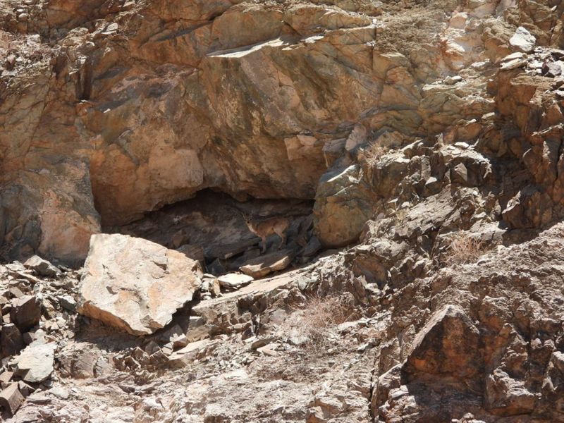 FOR SALE : FULLY EQUIPPED 27,000 HA FARM WITH BOREHOLES, DAMS & WILDLIFE - Photo 4