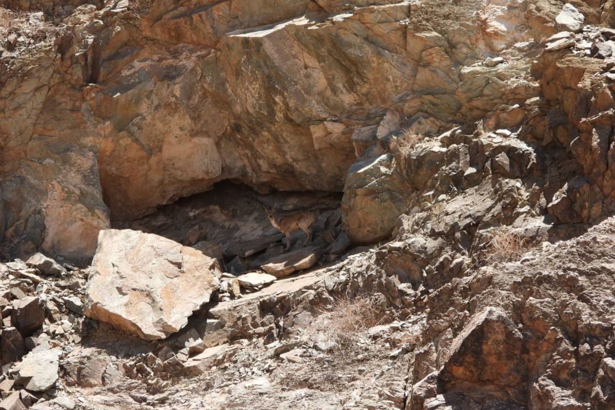 FOR SALE : FULLY EQUIPPED 27,000 HA FARM WITH BOREHOLES, DAMS & WILDLIFE - Photo 4