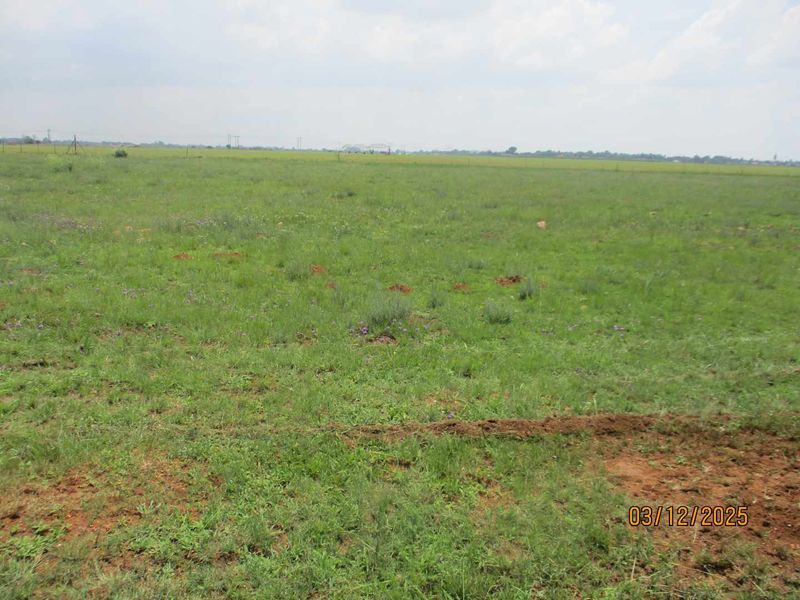 Enjoy the tranquility of Henley - Photo 4