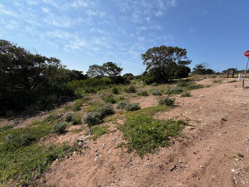 A vacant residential plot featuring natural vegetation and an unpaved access path, offering a blank canvas for future development.