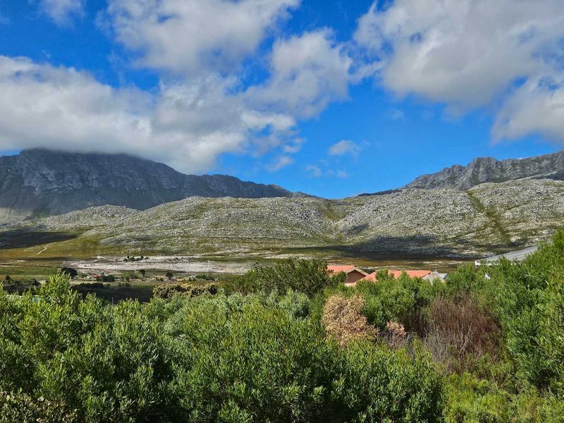 600m2 Vacant Land for Sale in Pringle Bay - Photo 2