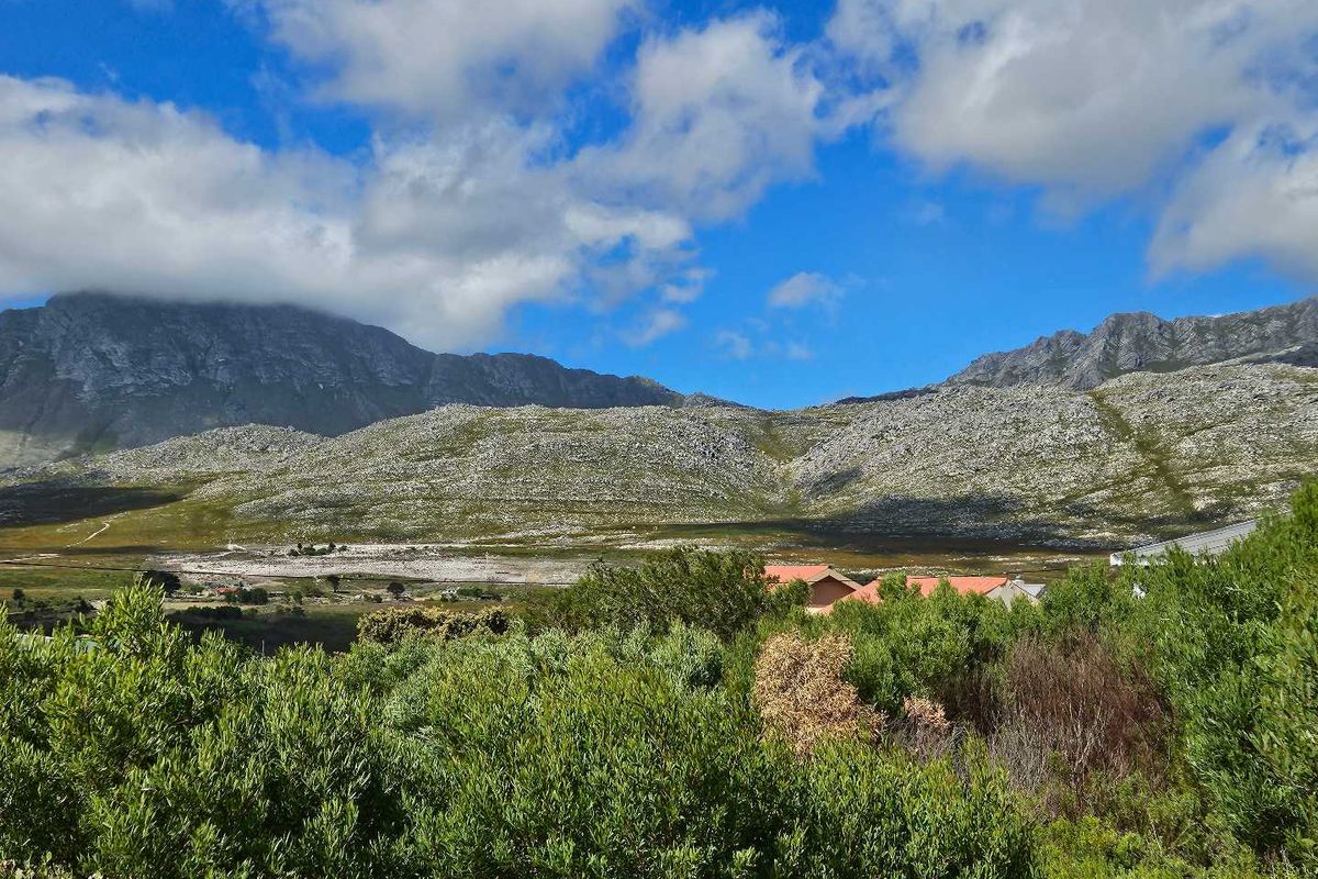 600m2 Vacant Land for Sale in Pringle Bay - Photo 2