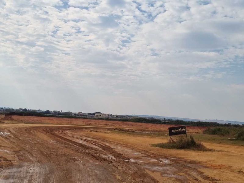 Site B | Logistics Warehouse To Let – 42,500m2 - Photo 4