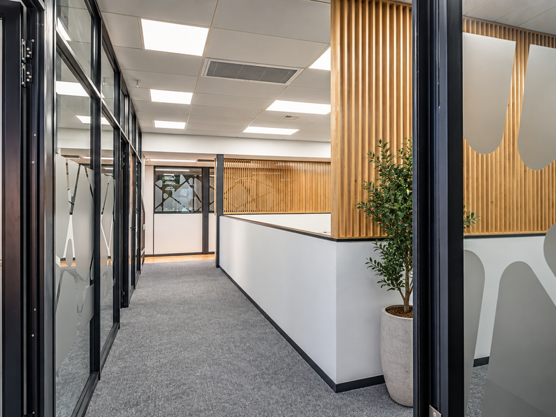 Modern office hallway featuring glass partitions, timber slat wall accents, suspended ceiling with recessed lighting, and professional carpet flooring.