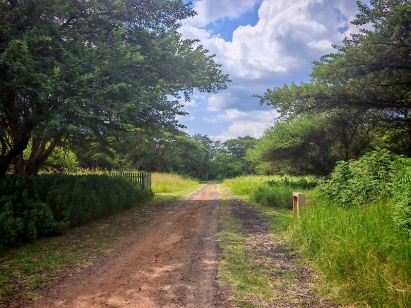 Vacant Stand in Sharalumbi Wildlife Estate - Photo 5