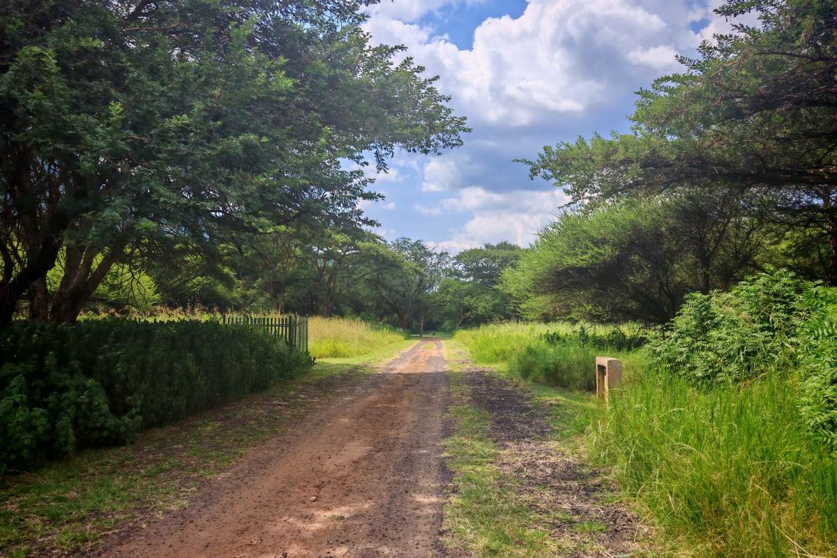 Vacant Stand in Sharalumbi Wildlife Estate - Photo 5