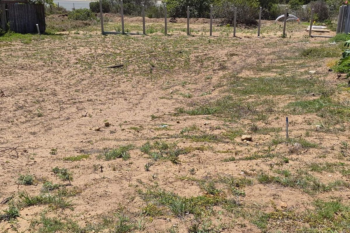 Prime North-Facing Stand in Reebok on the Garden Route - Photo 4