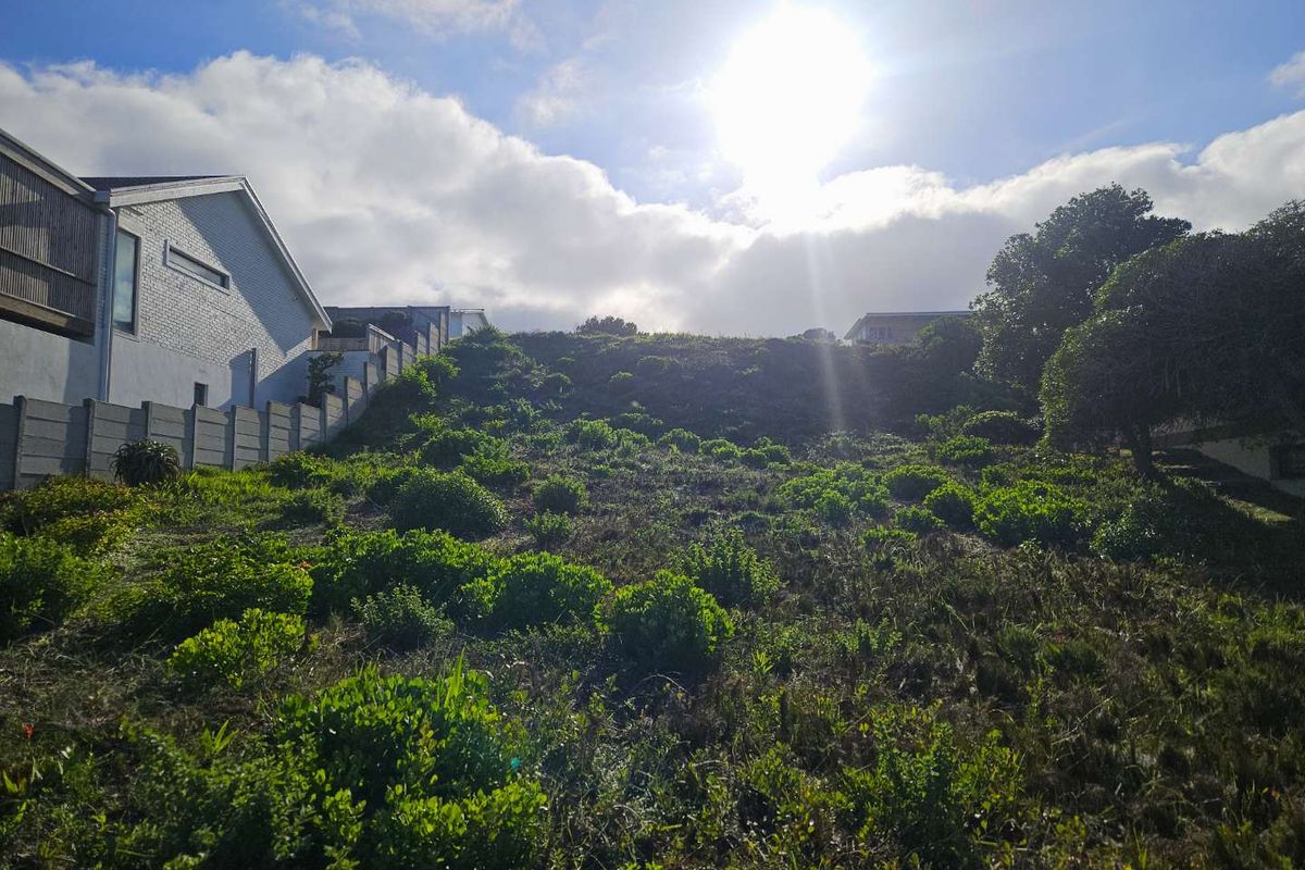A sloped residential vacant land plot featuring established vegetation and bordering existing residential properties with perimeter fencing.