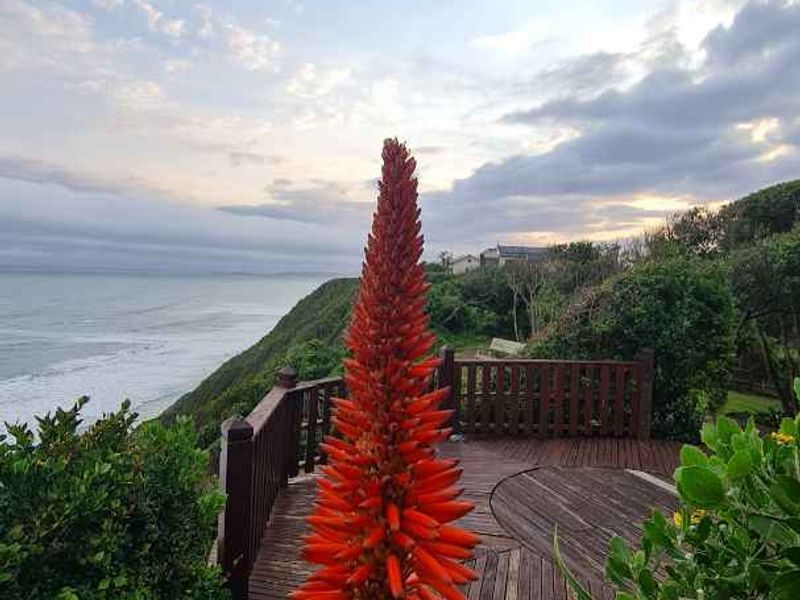 Three bedroom retreat in nature’s paradise - Photo 7