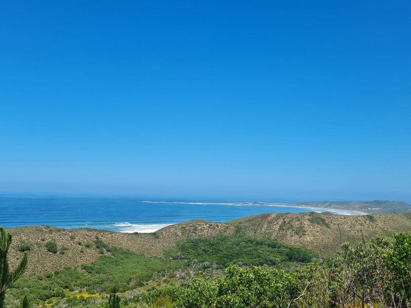 Natures dream - Photo 7