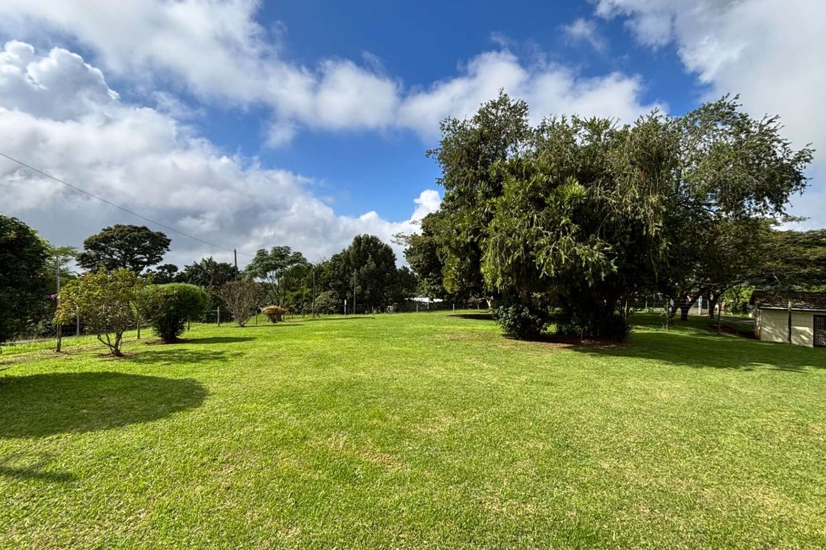 Peaceful Living on Beautiful Land in Waterfall – A Steal at R1 350 000 - Photo 3