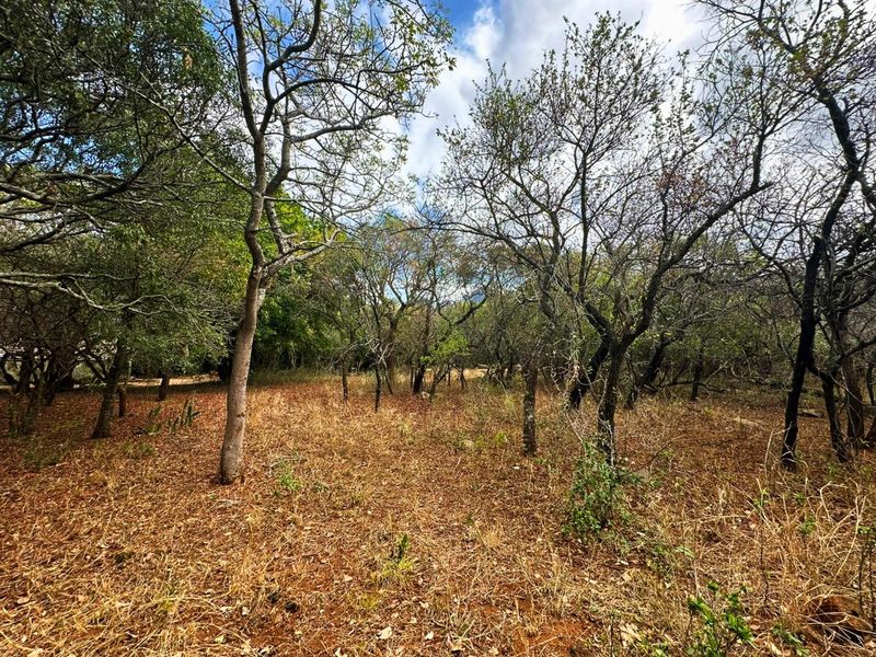 Vacant Stand for Sale in Kampersrus - Photo 3