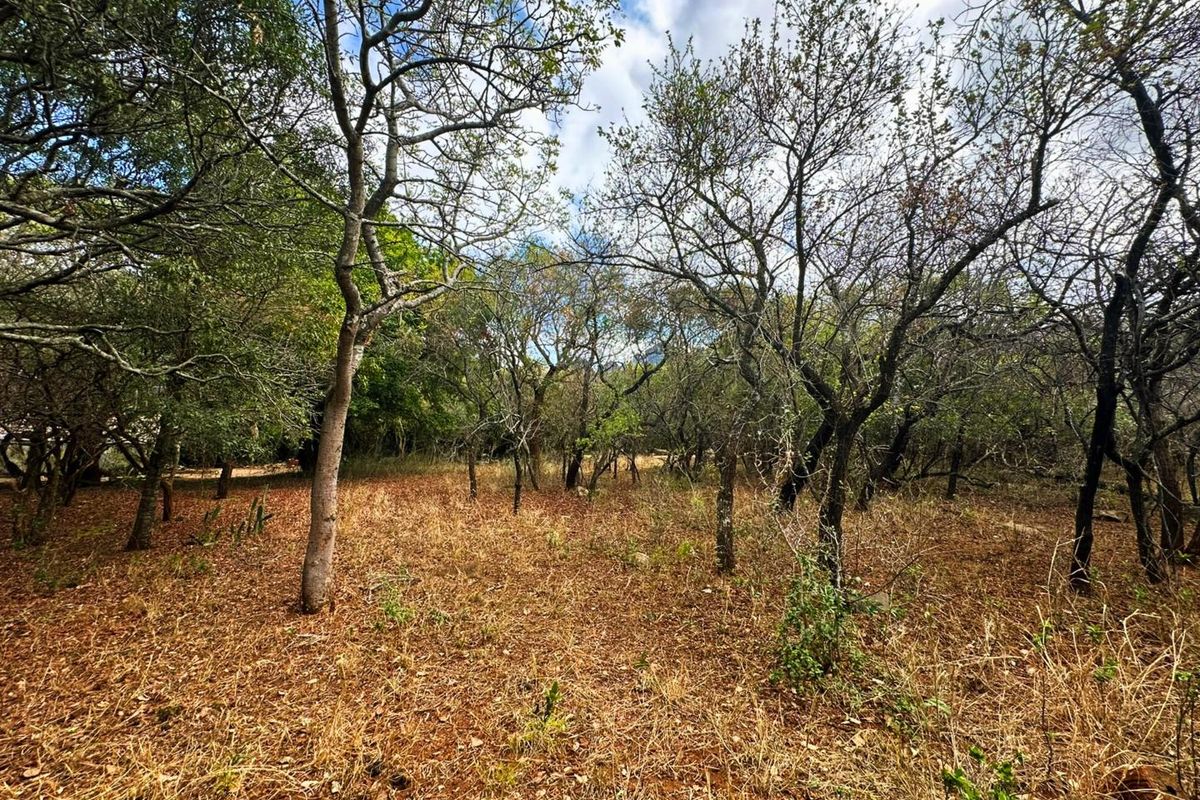 Vacant Stand for Sale in Kampersrus - Photo 3