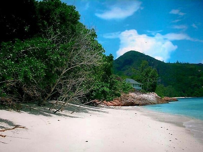Prime residential/tourism development beachfront land - Photo 9