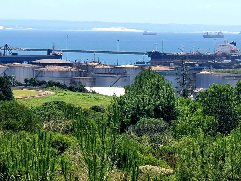 A wide-angle view overlooking a coastal industrial port area with large storage tanks, shipping vessels, and surrounding natural vegetation.