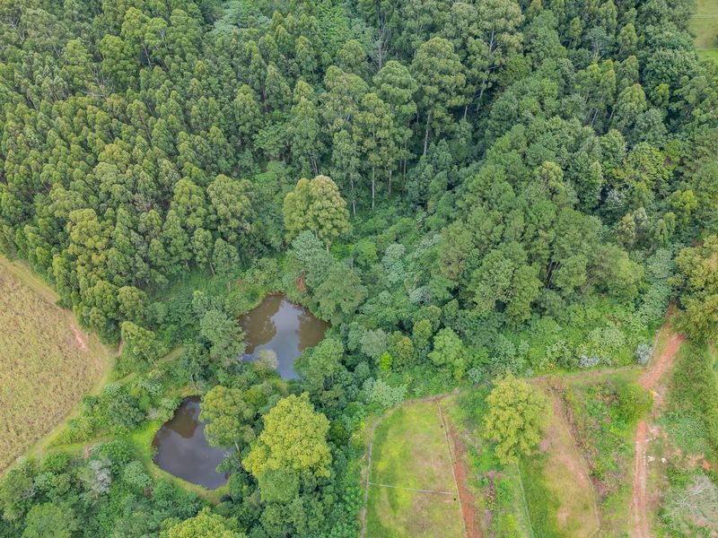 Land for sale in Assagay - Photo 5