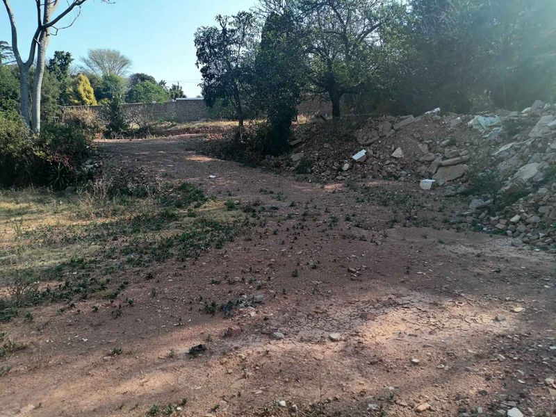A vacant residential plot featuring natural terrain, mature trees, and a boundary wall, currently requiring site clearing and landscaping.
